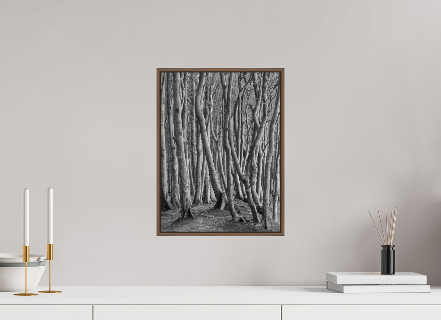 "coastal forest" - Rügen