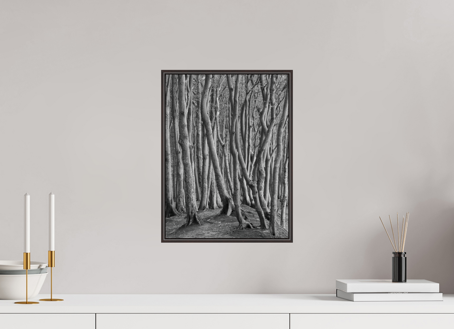 "coastal forest" - Rügen