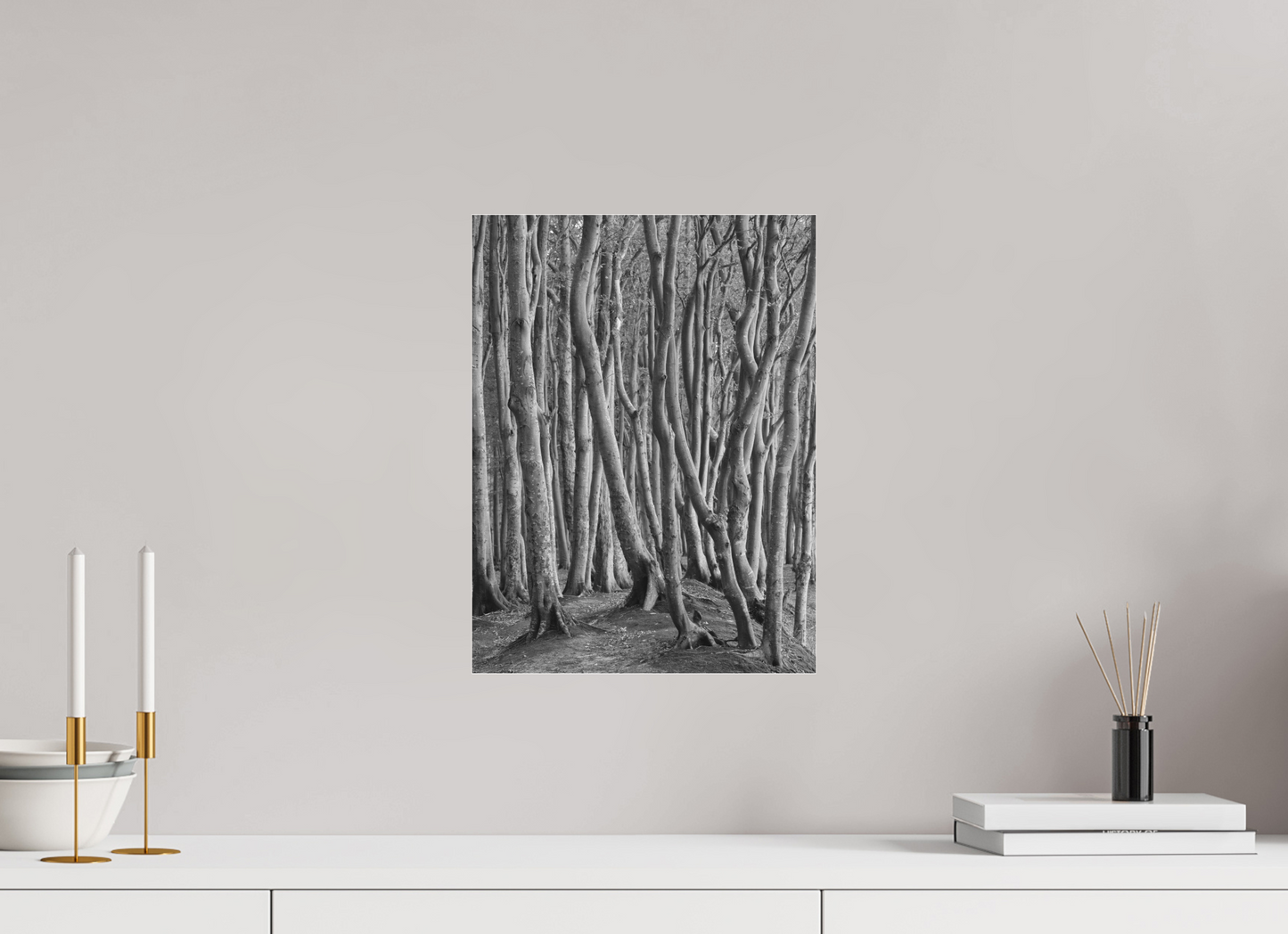 "coastal forest" - Rügen