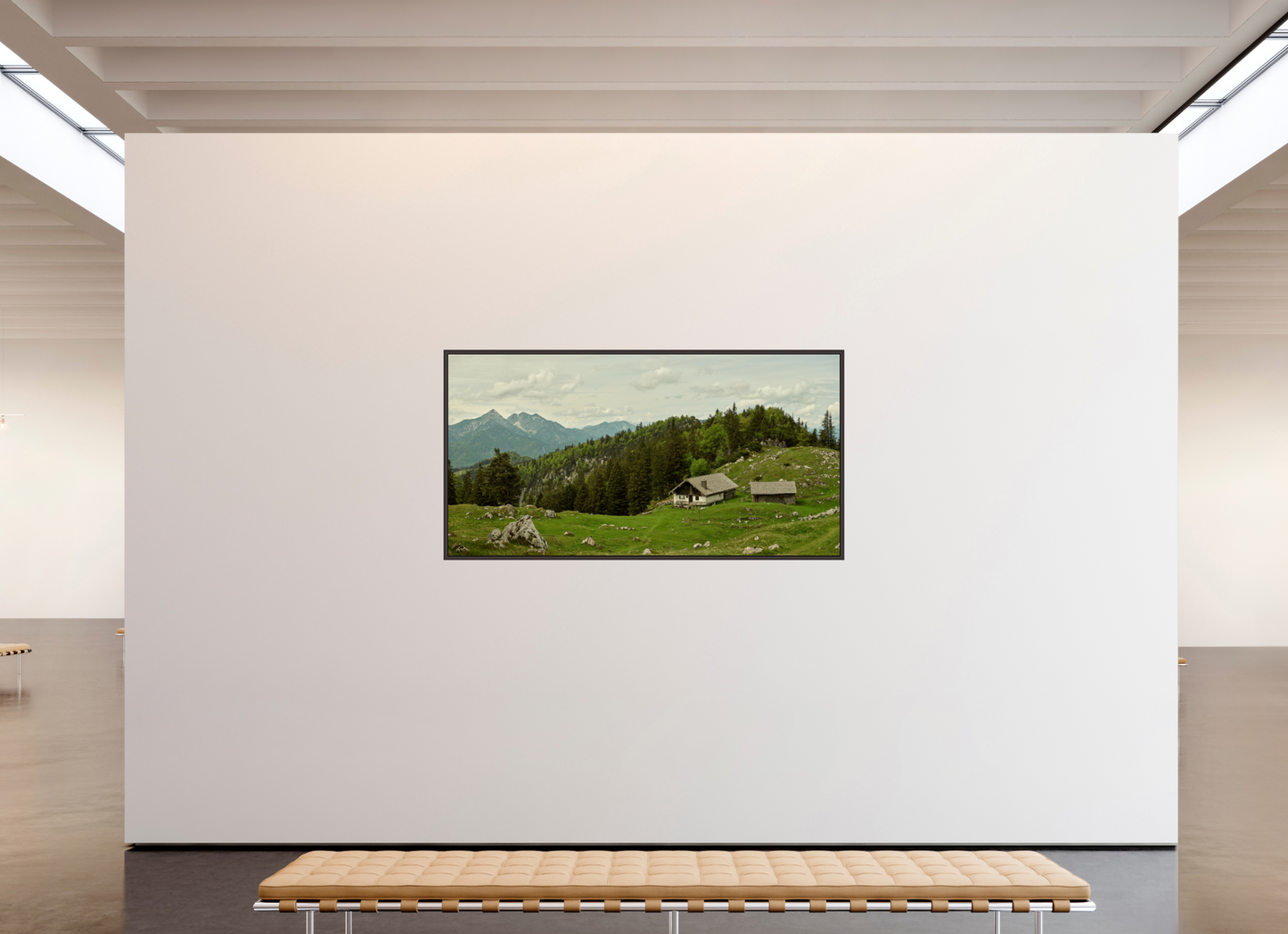 Kohler Alm - Chiemgau Alps