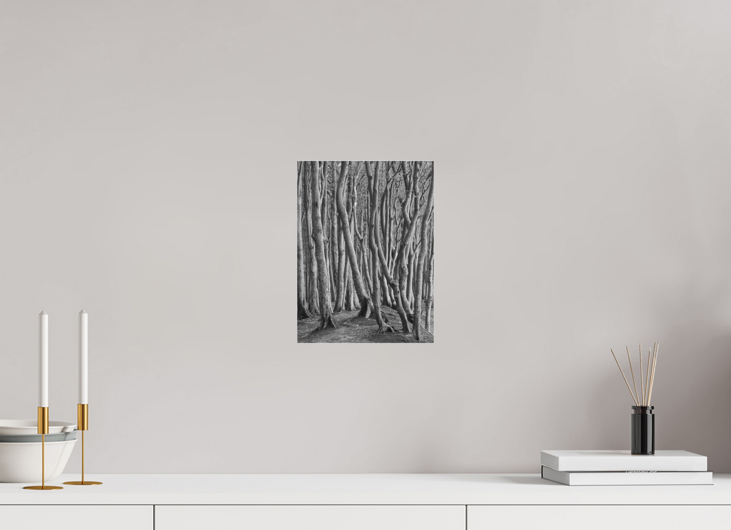 "coastal forest" - Rügen