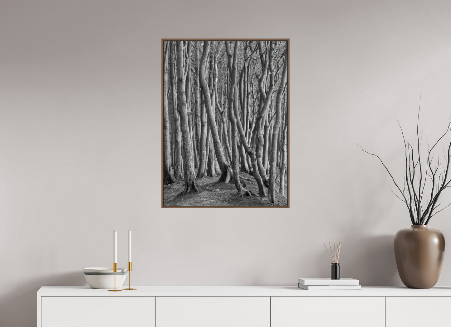 "coastal forest" - Rügen