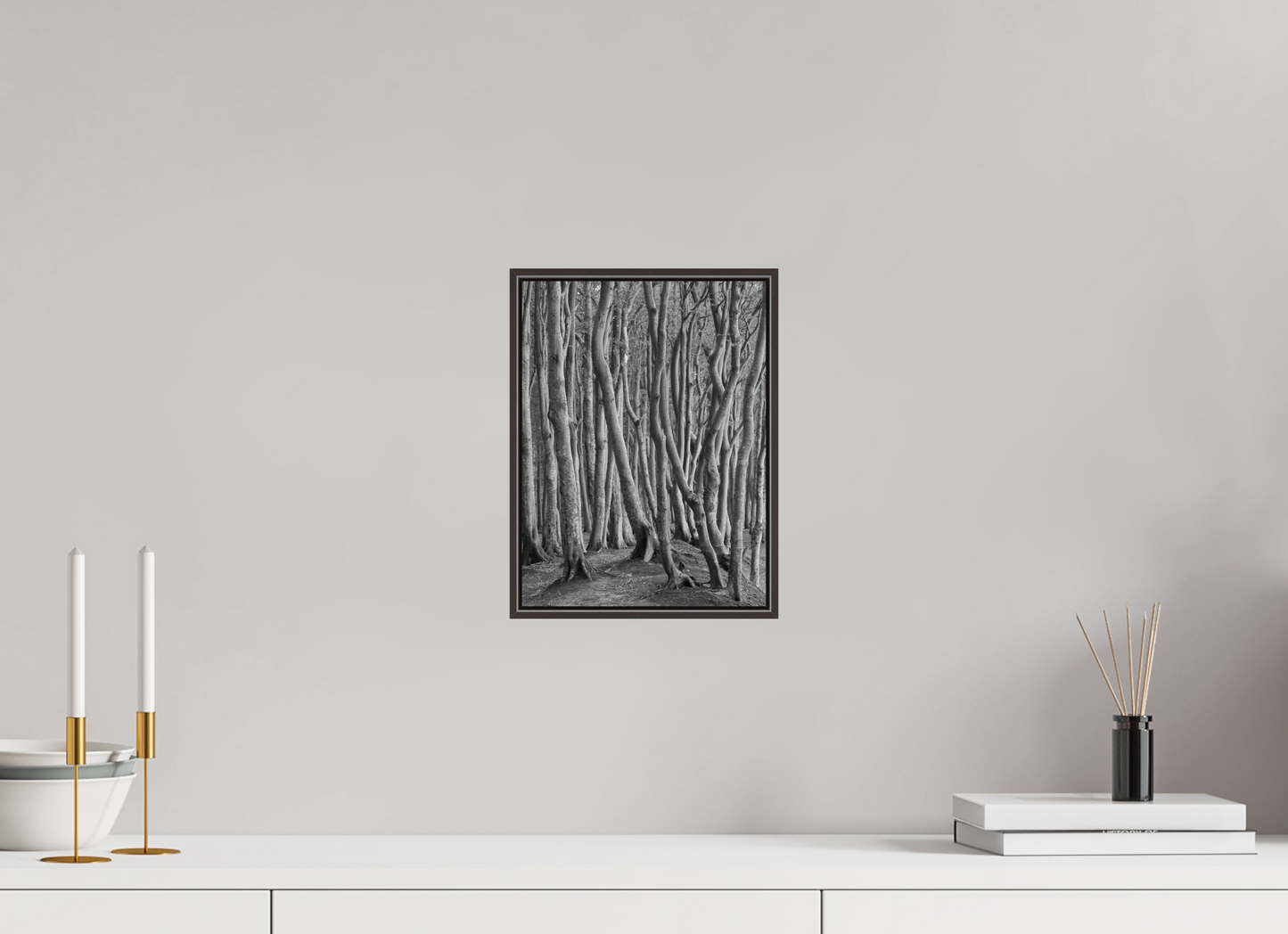 "coastal forest" - Rügen