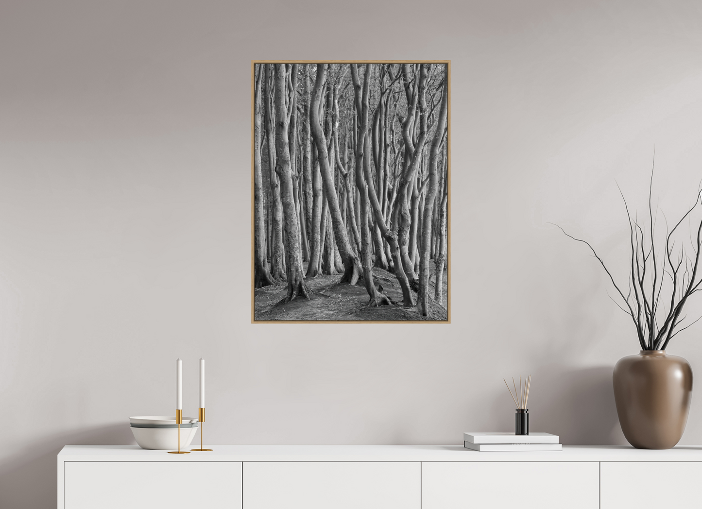 "coastal forest" - Rügen