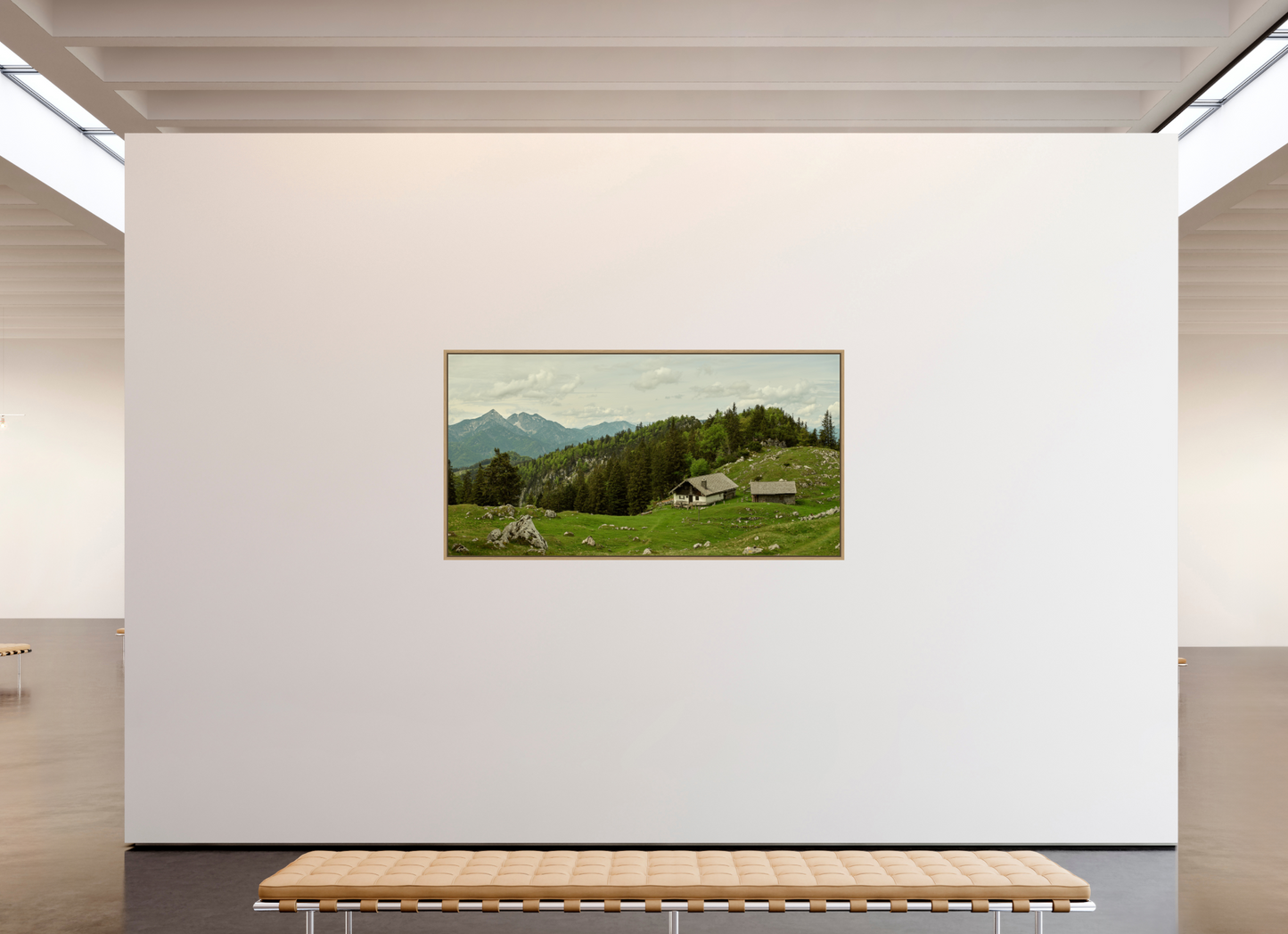 Kohler Alm - Chiemgau Alps