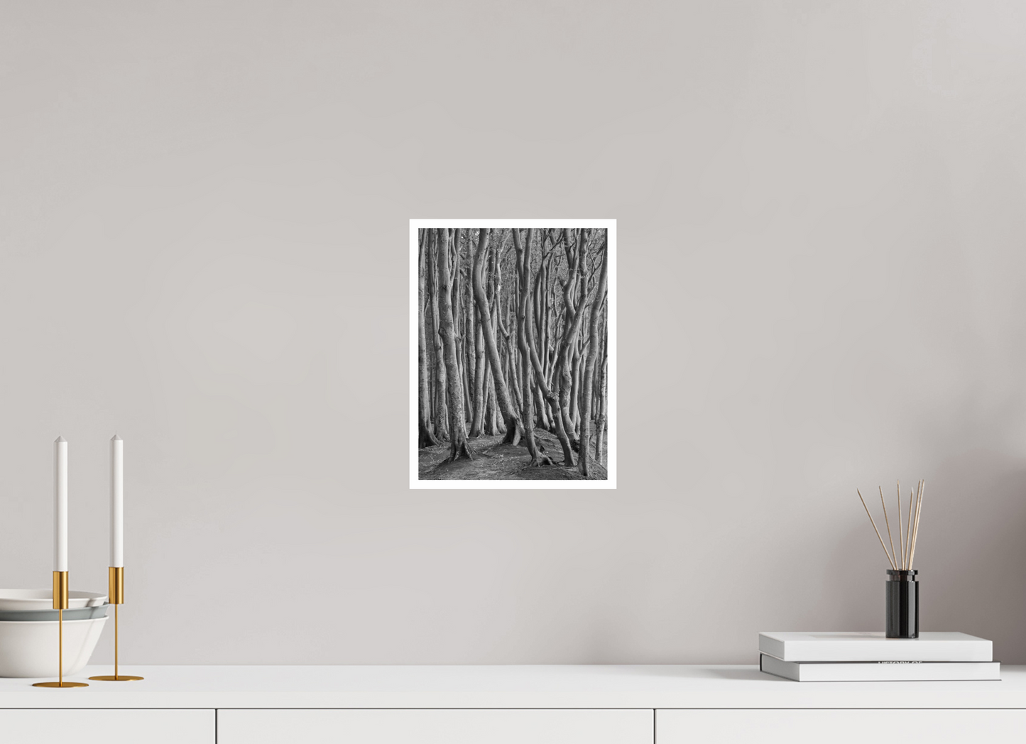 "coastal forest" - Rügen