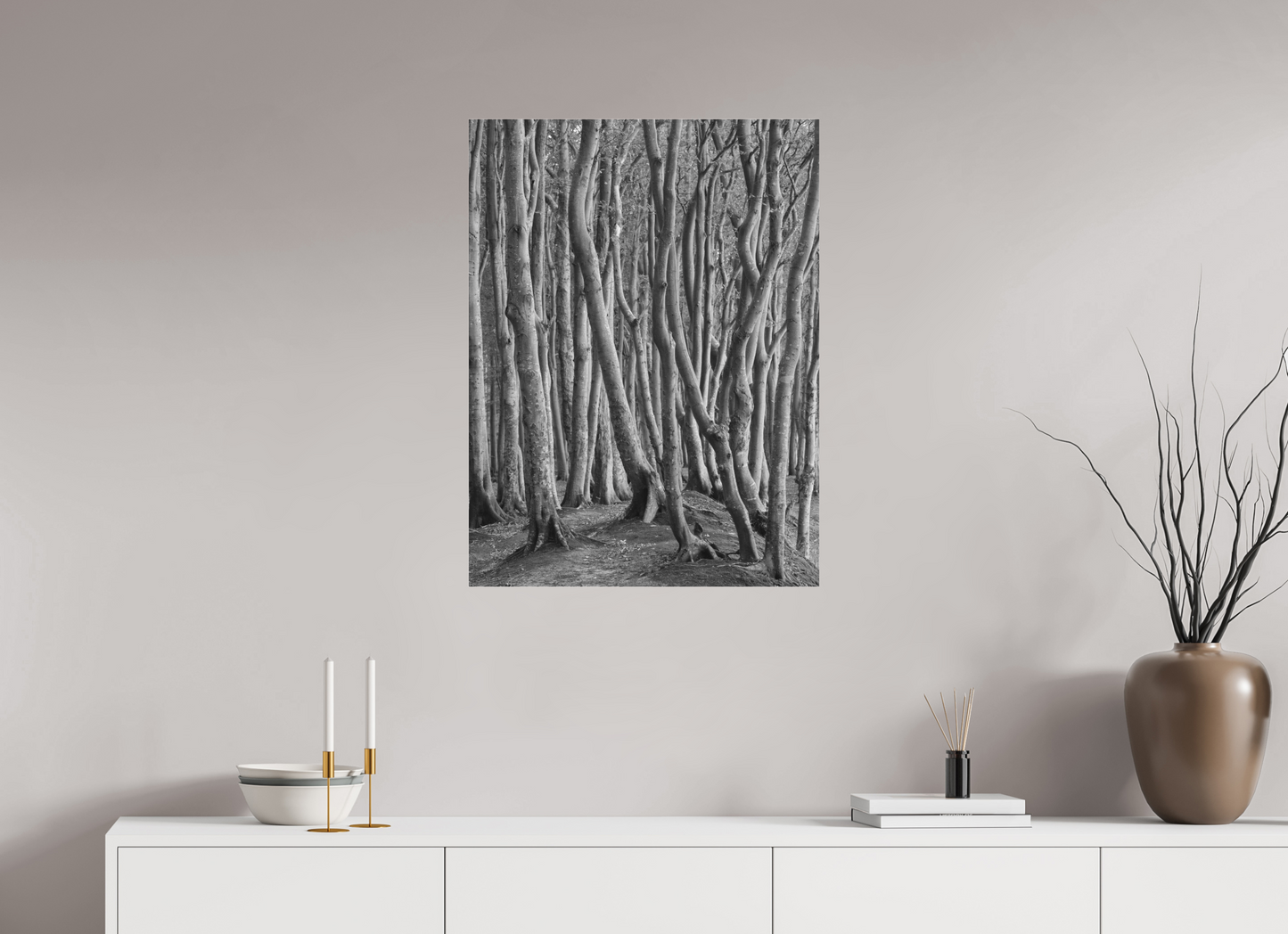 "coastal forest" - Rügen