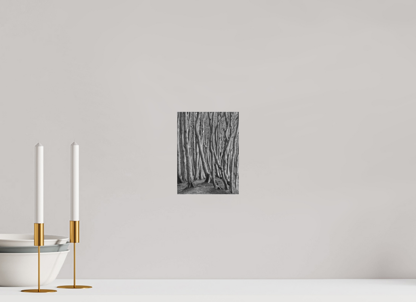 "coastal forest" - Rügen