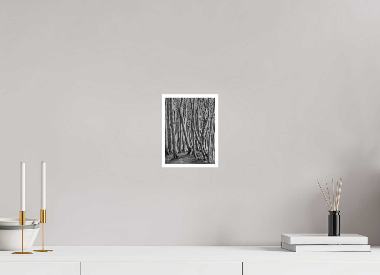 "coastal forest" - Rügen