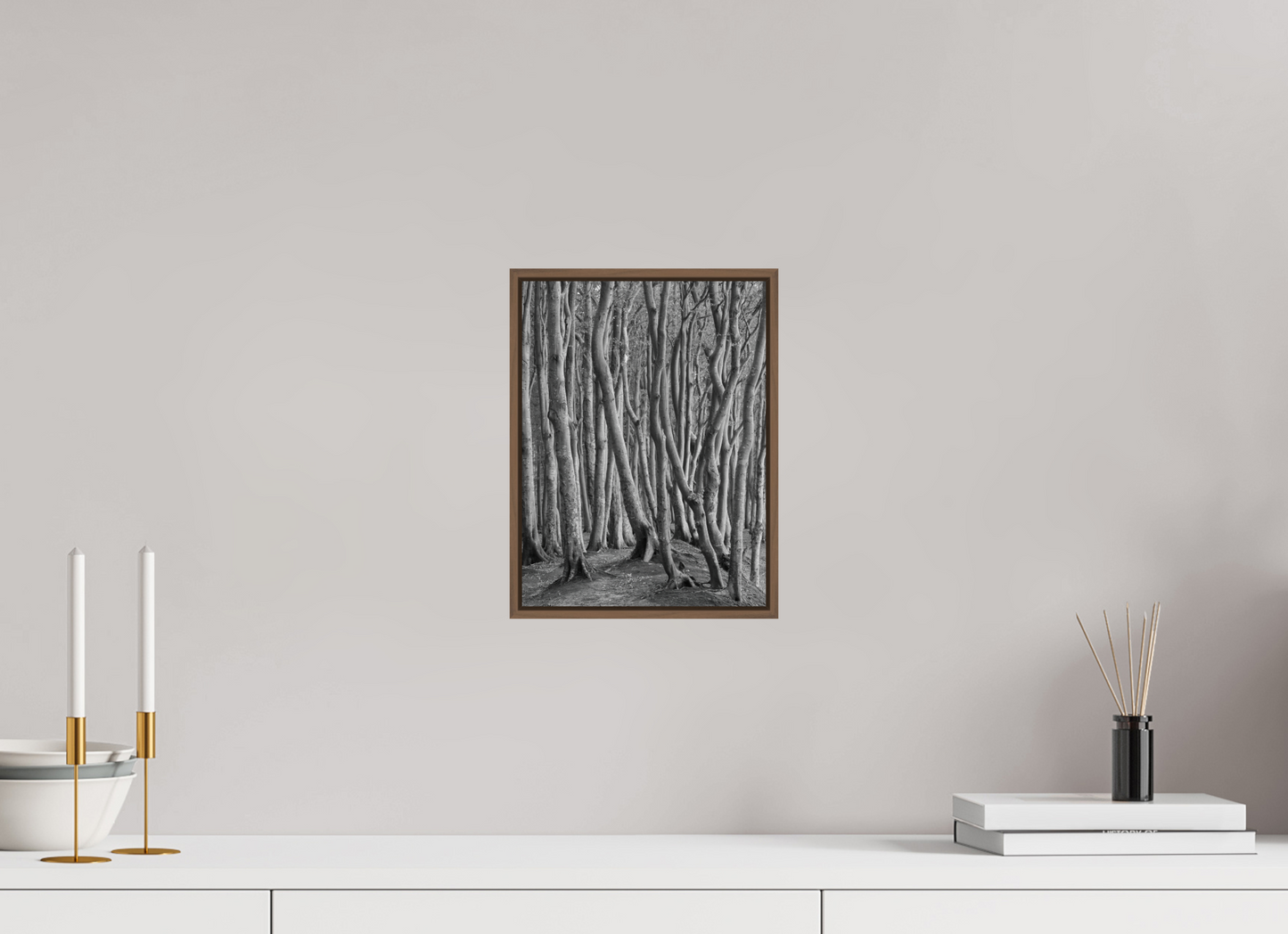 "coastal forest" - Rügen