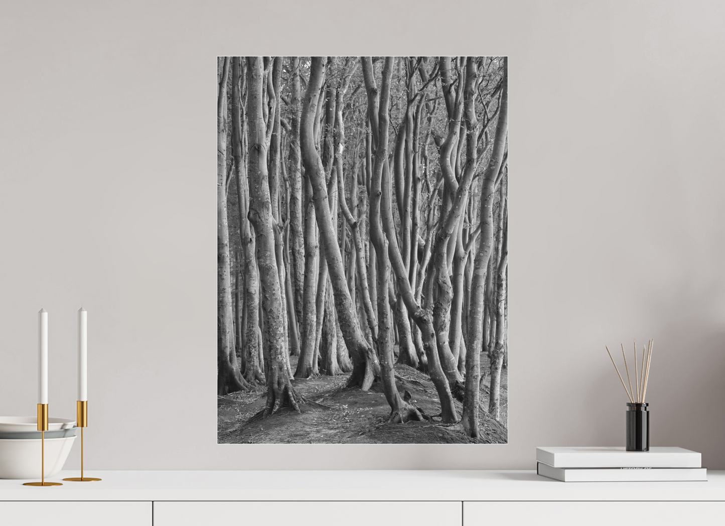 "coastal forest" - Rügen