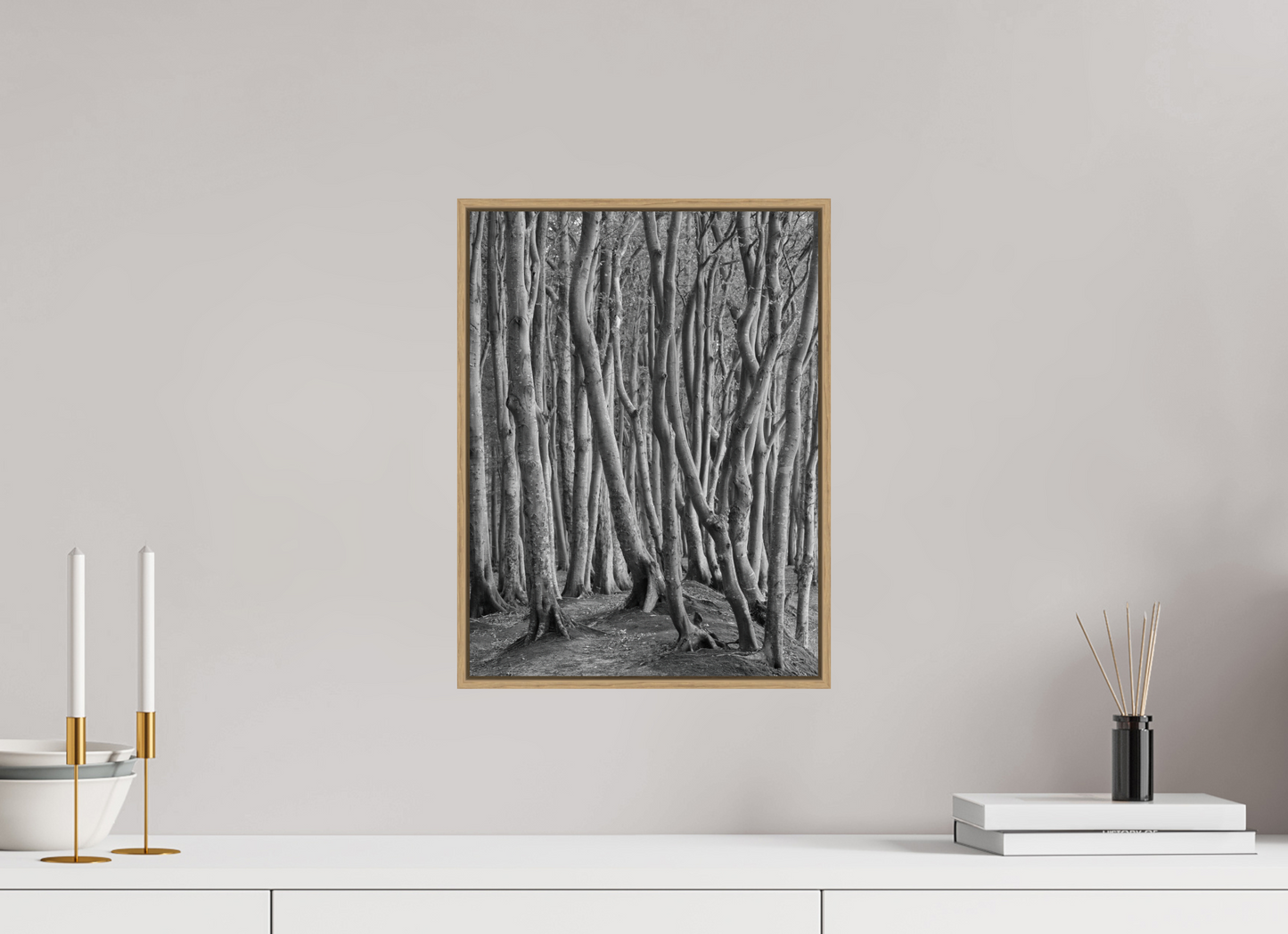 "coastal forest" - Rügen