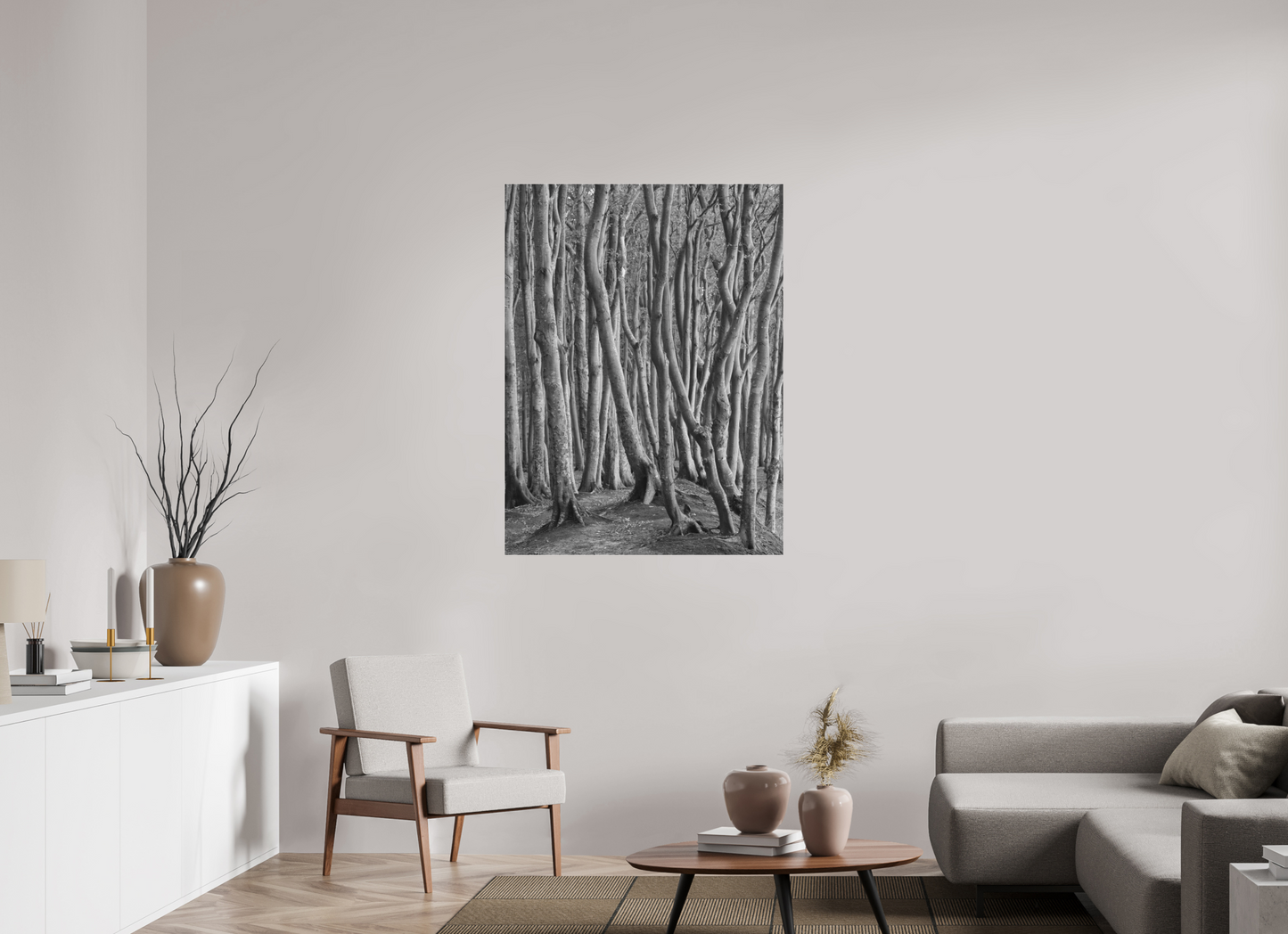 "coastal forest" - Rügen