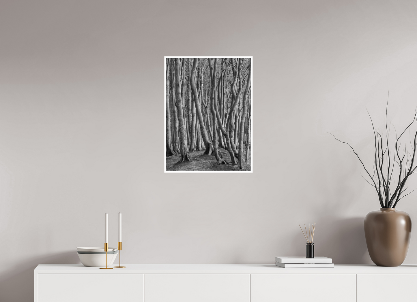 "coastal forest" - Rügen