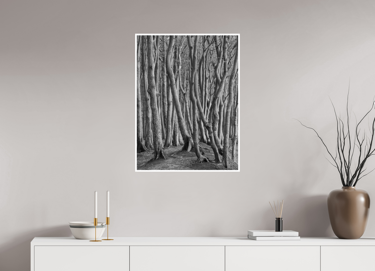 "coastal forest" - Rügen