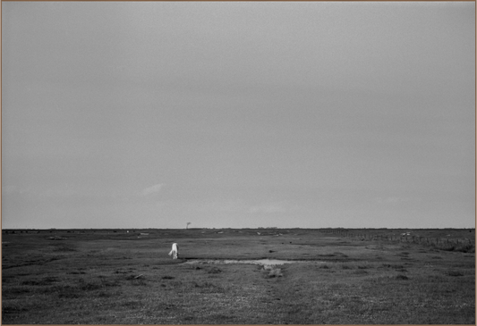 "eternity" - Norderney