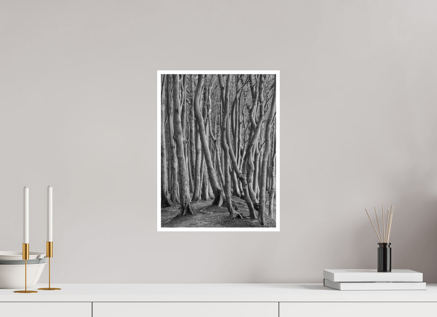 "coastal forest" - Rügen