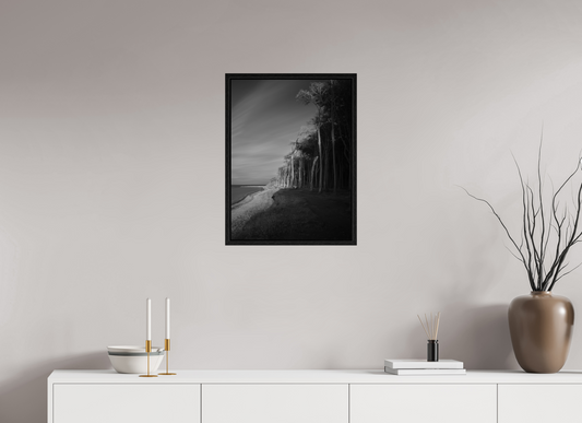 ghost forest