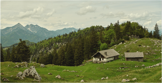 Kohler Alm - Chiemgauer Alpen
